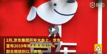 京东内部员工爆料最新,揭秘电商巨头背后的秘密与变革