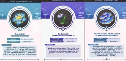 3.0原神最新爆料,神秘新角色、奇幻新世界，探索未知冒险之旅